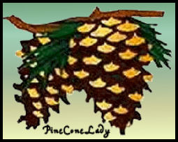 Stickers - Pinecones Gold Foil