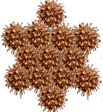 Sweetgum Pods Star Ornament